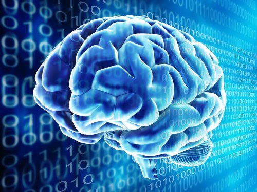 Создание мозга компьютера